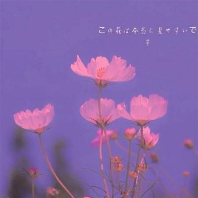 ManBetX在线登录截图